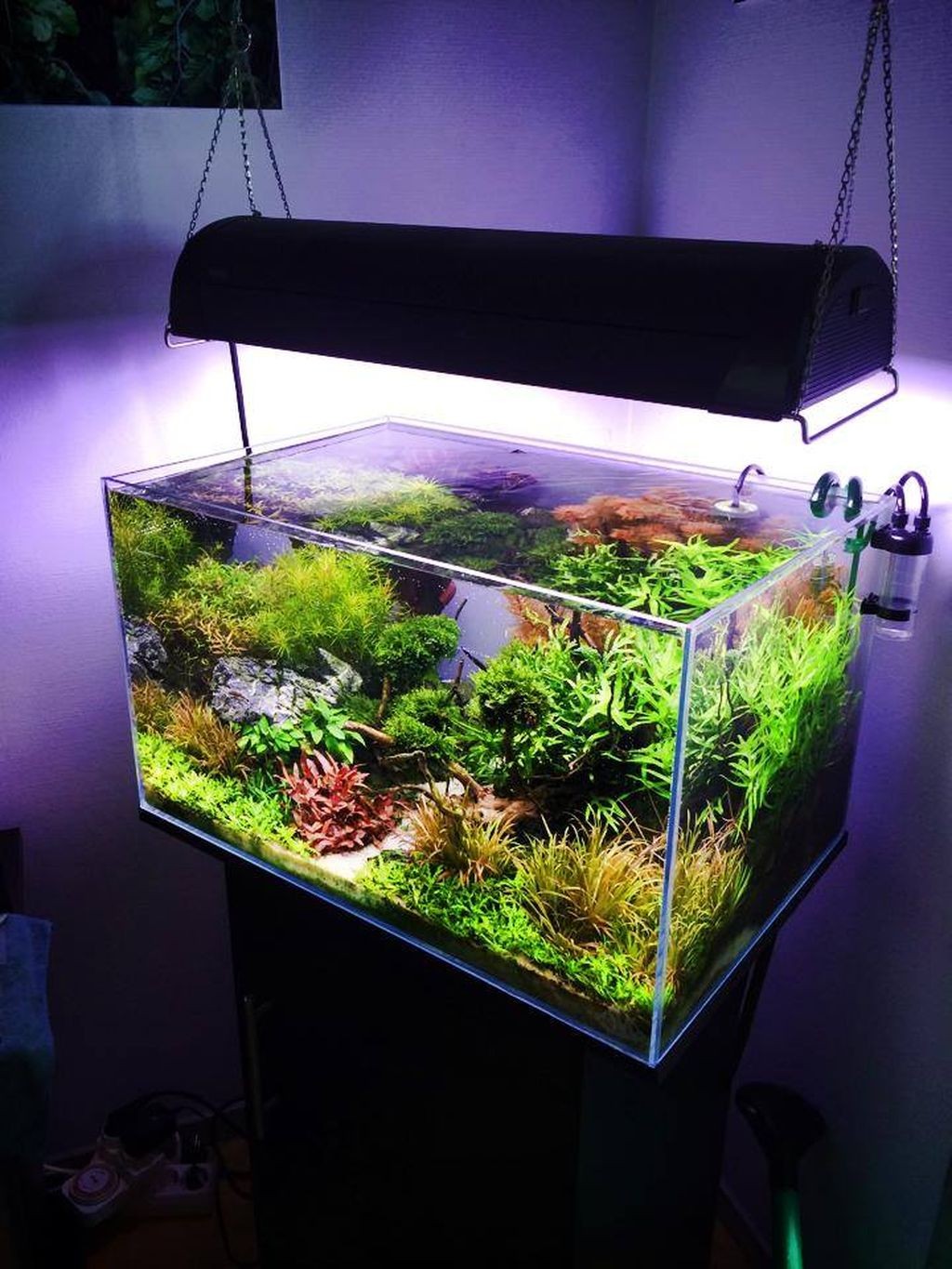30 Amazing Aquascaping Ideas You Will Totally Love - Page 27 of 30
