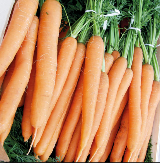 Merida Carrots