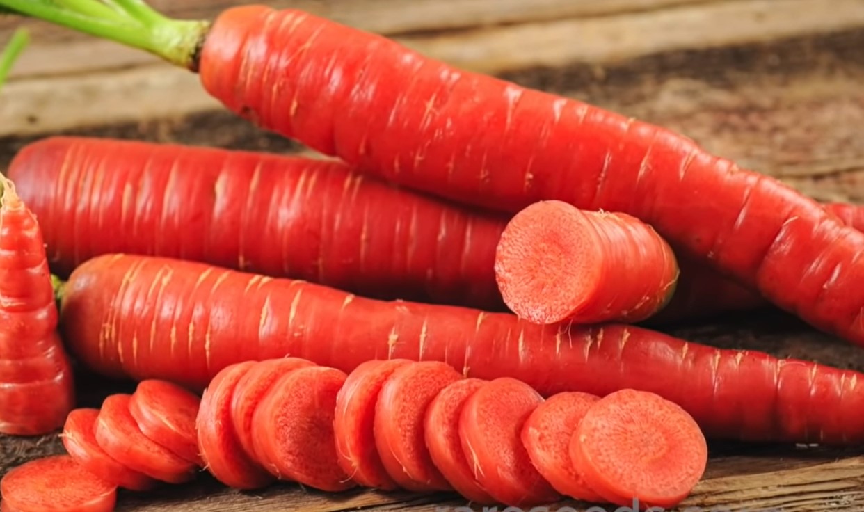 Red-Cored Carrot