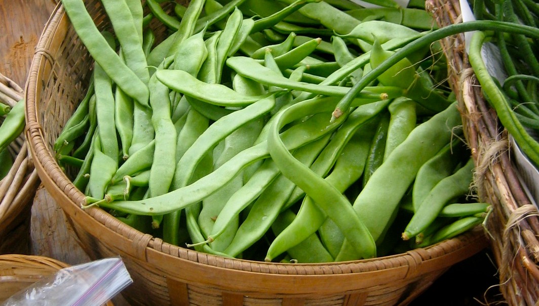 Spanish Musica green beans