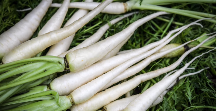 White Belgian Carrots 