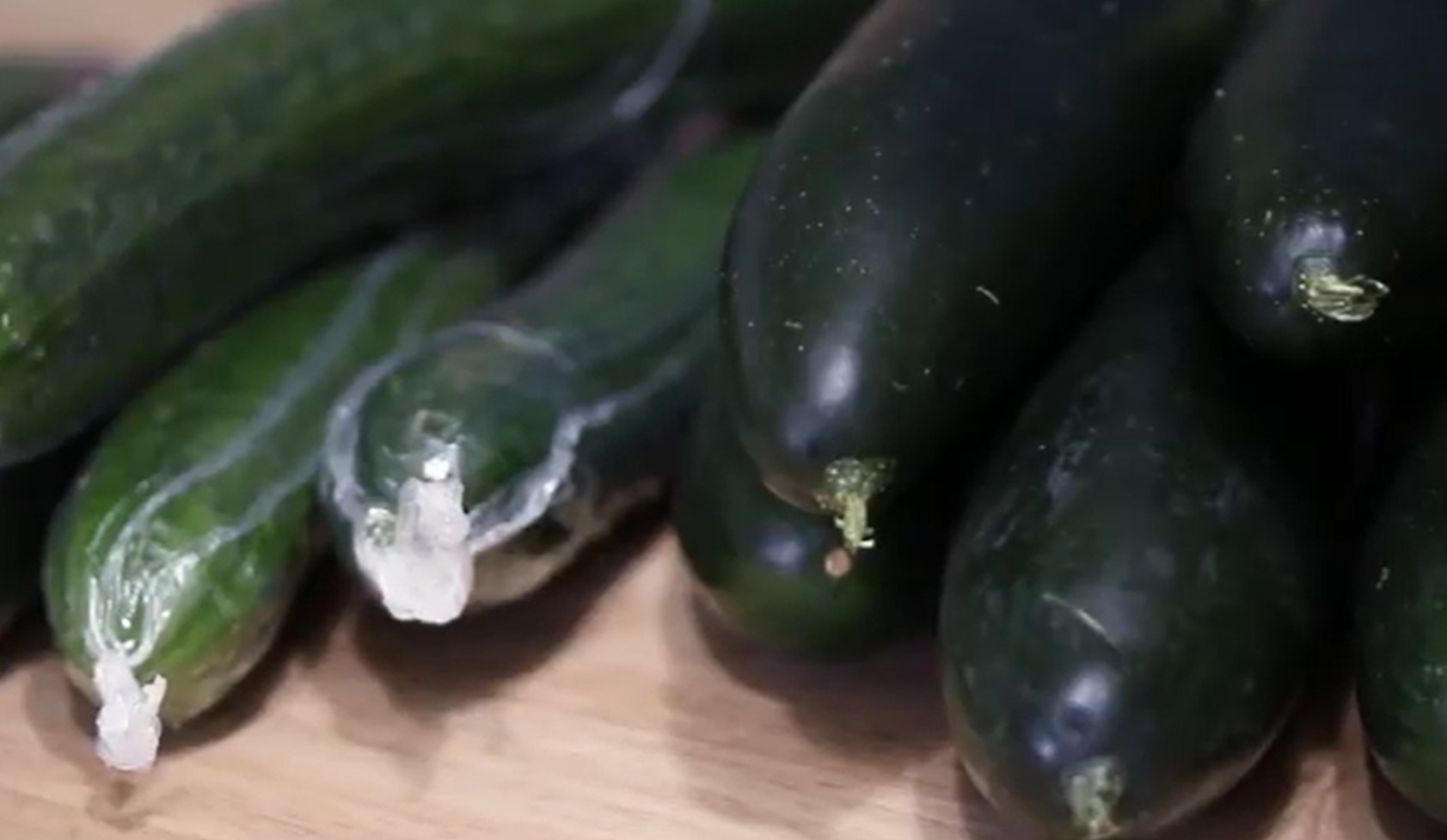 cucumber varieties