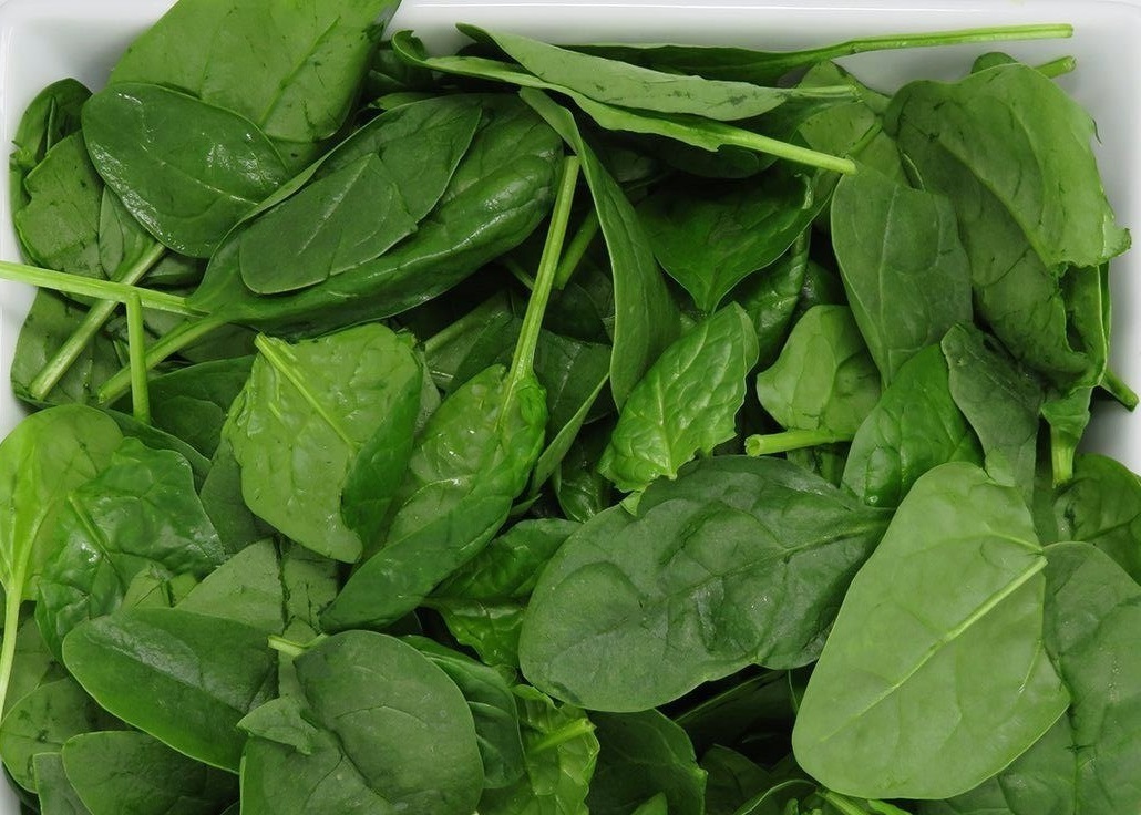 savoy spinach