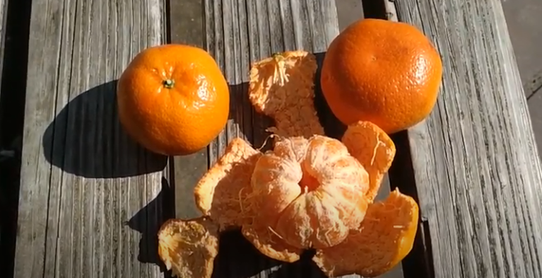 Mandarin Orange 