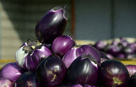 Sicilian-Eggplant