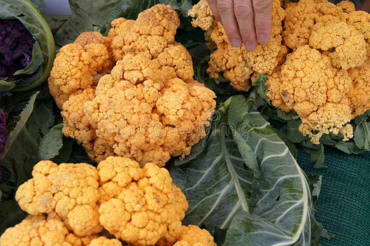 Yellow or Orange Cauliflowers