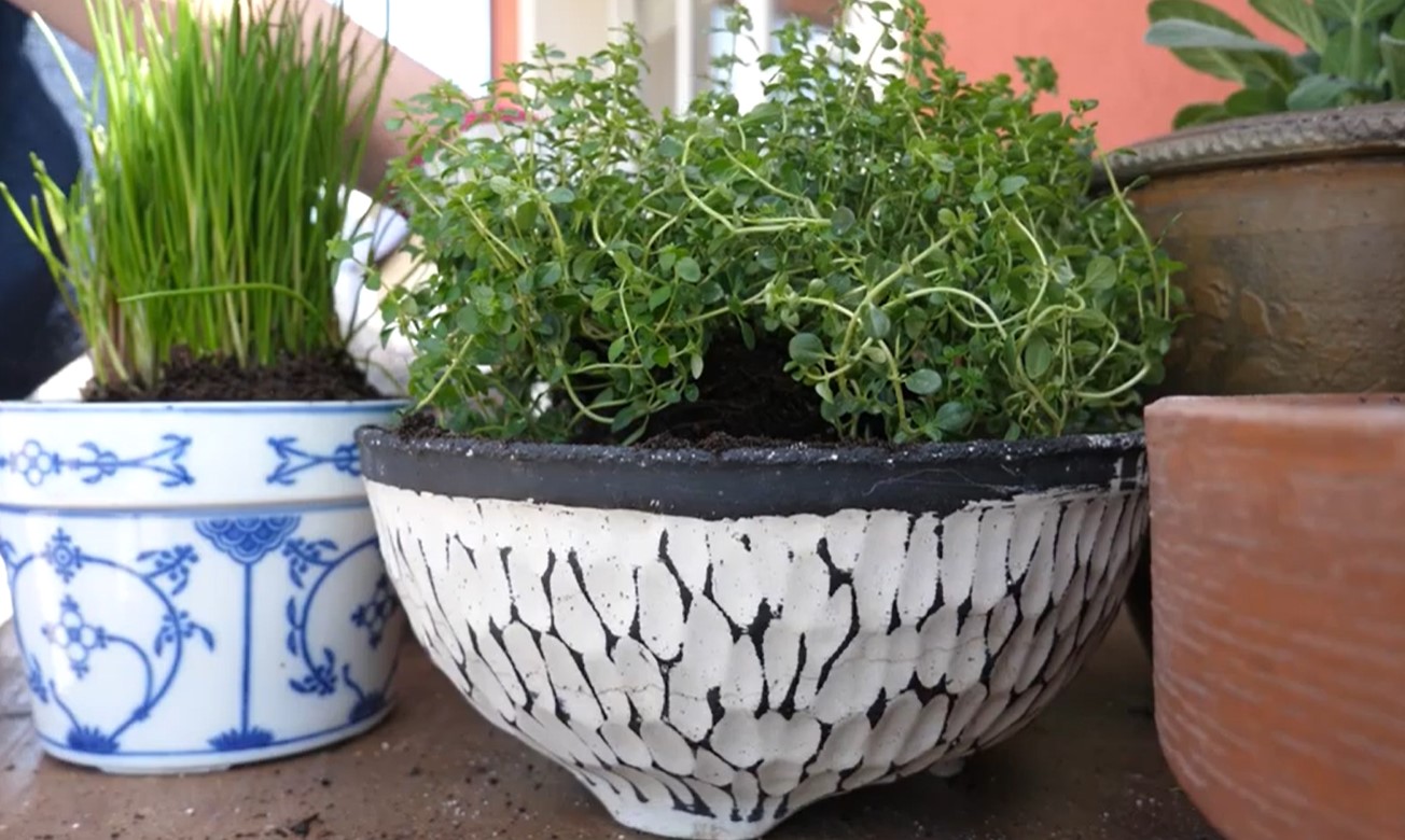 balcony herb garden