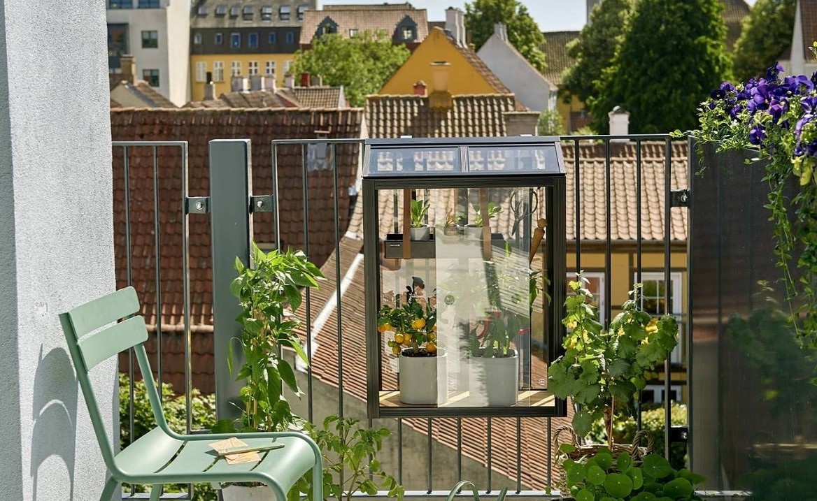 growing balcony herb garden