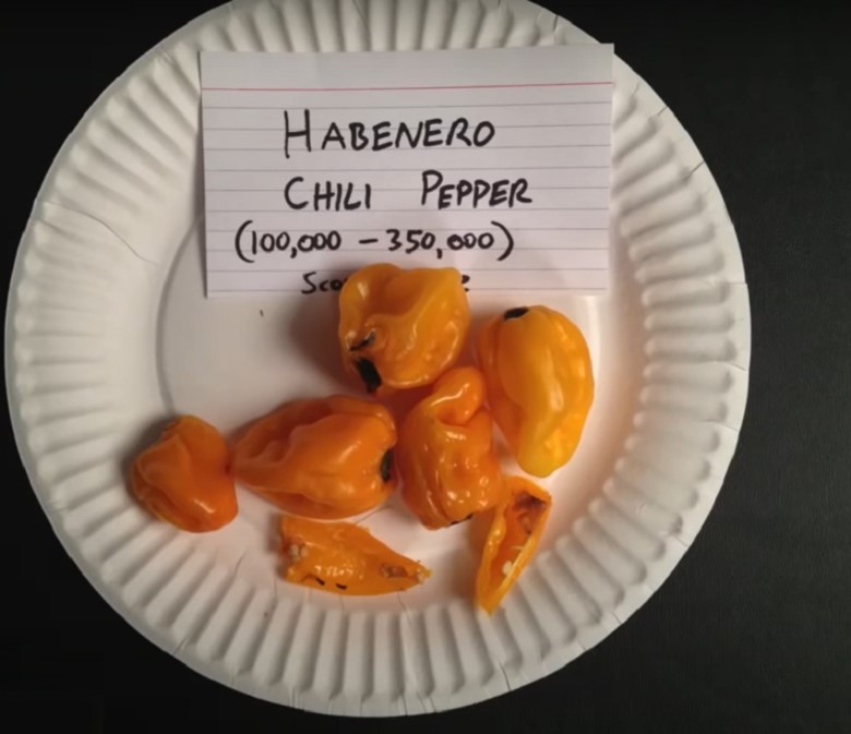 habanero