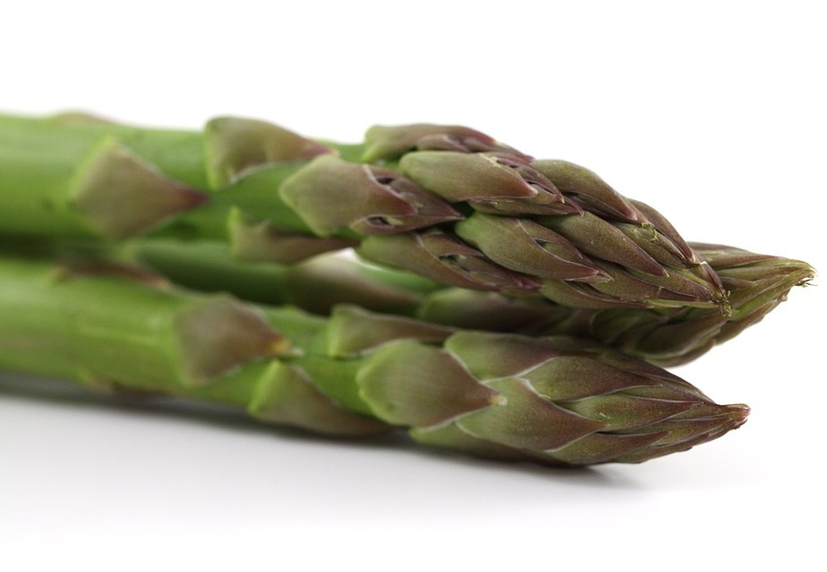 hydroponic asparagus