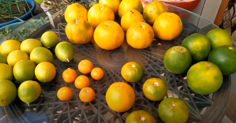 Types Citrus