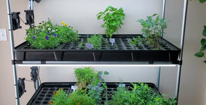 DIY hydroponics indoors