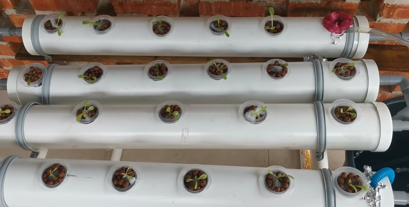 DIY hydroponics systems