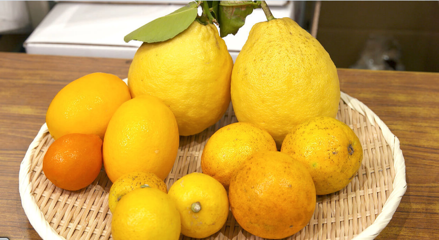 Types of Lemons