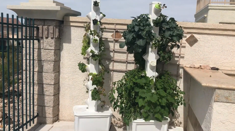 Vertical Hydroponic Rain Tower