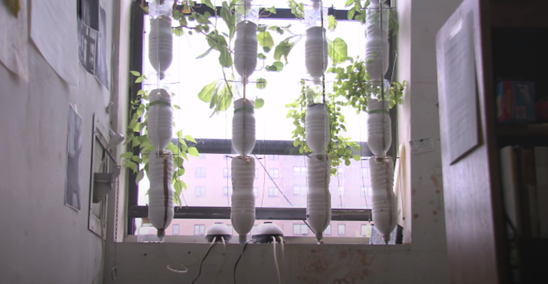 Window Farm Installation