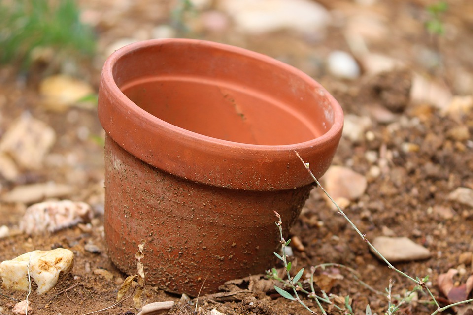 Create a Flowerpot