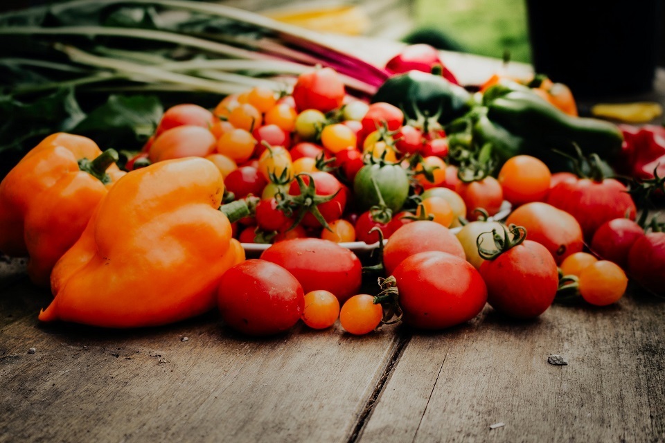 1. Selecting the Right Varieties of Growing tomatoes and peppers together