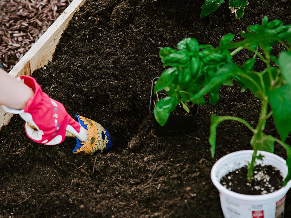 Best soil for raised bed vegetable garden, The right type of soil will promote the proper growing conditions