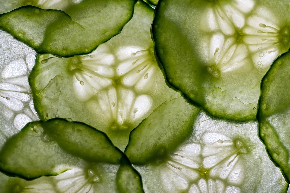 Cucumbers are a great way to lose weight