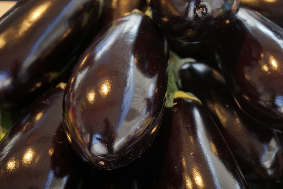 Eggplant is an excellent source of antioxidants