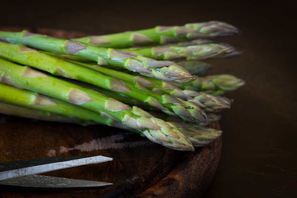 How to Grow Asparagus Ferns at Home, Propagating Asparagus From Cuttings.