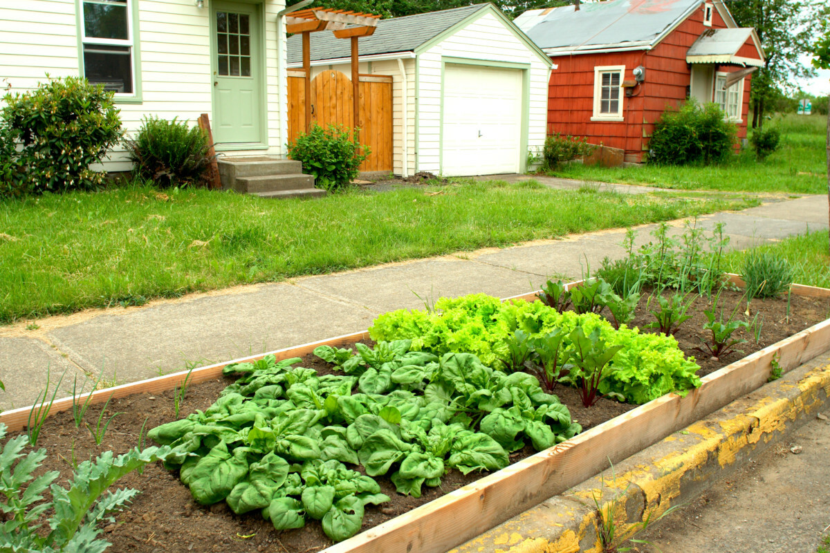 How to Grow Vegetables in Your Front yard