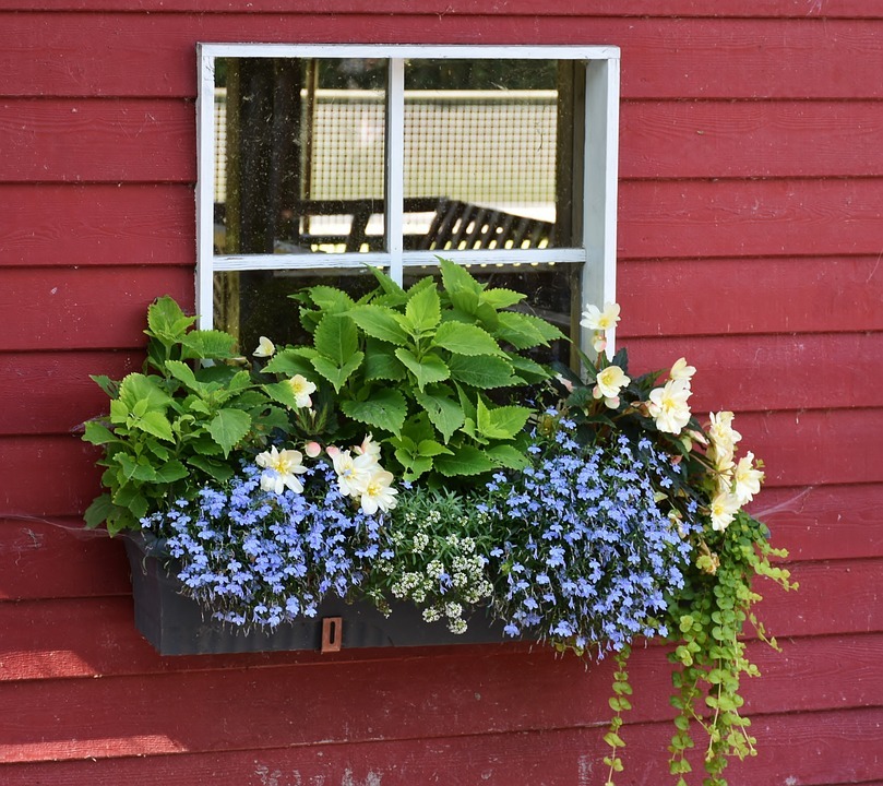 How to Make Window sill plant shelf That Grow Flowers And Plants All Year Round