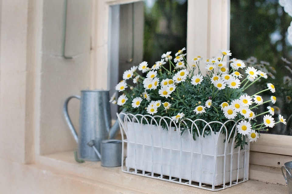 How to Make a DIY Window Box Planter