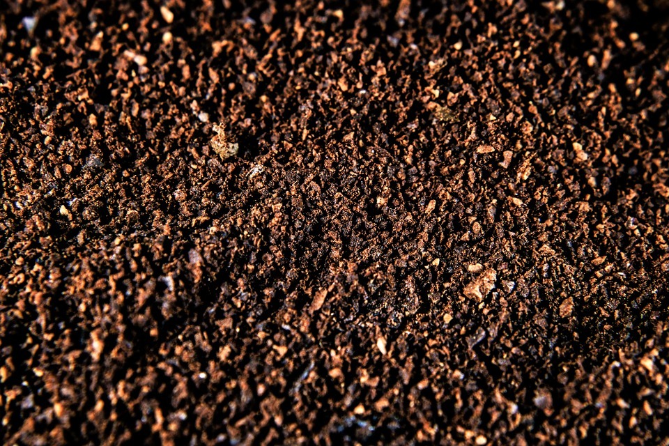 How to Turn Your Dirty Coffee Grounds Into a Potting Soil