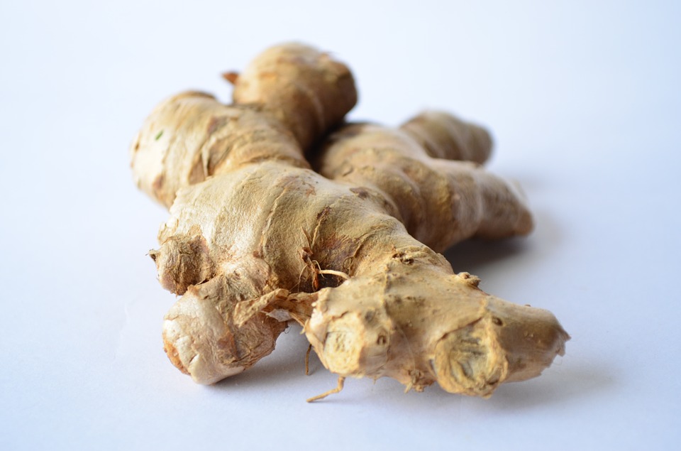 How to grow ginger from root, The ginger should be submerged in water until roots emerge