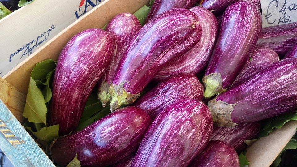 Is an eggplant a vegetable. Some people think that eggplants are vegetables, but they aren't