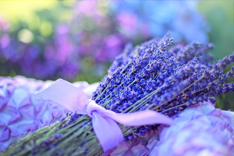 Lavender flower meaning  