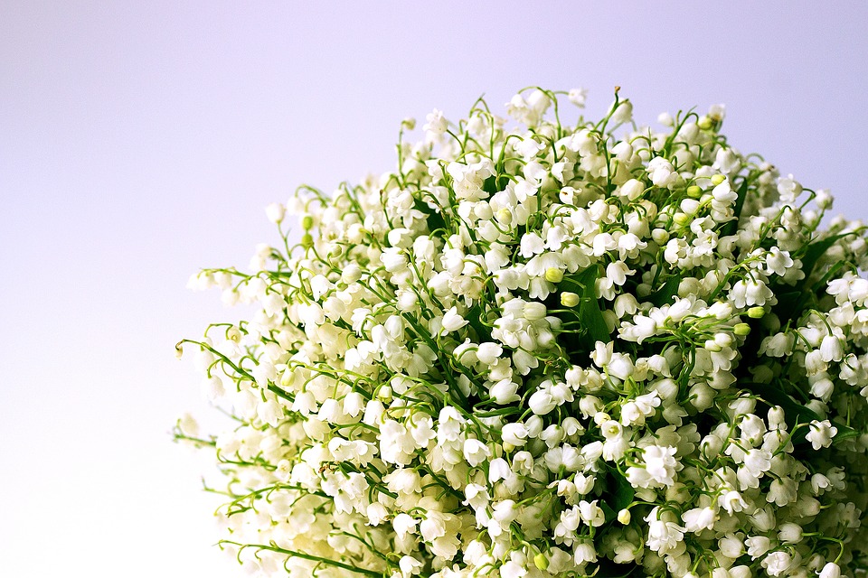 Lily of the valley bouquet in a wedding ceremony