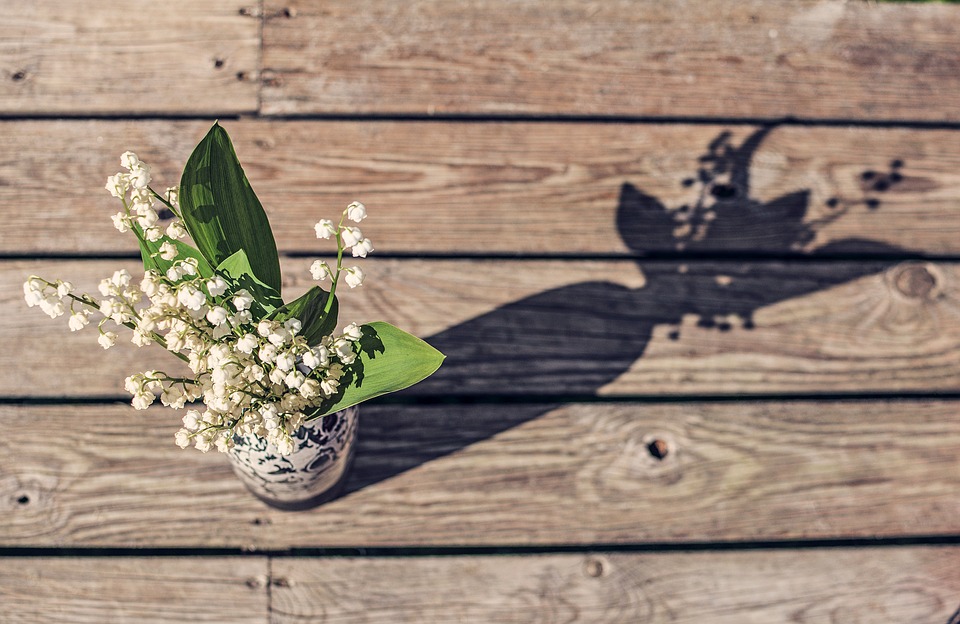 Lily of the valley meaning and symbolism