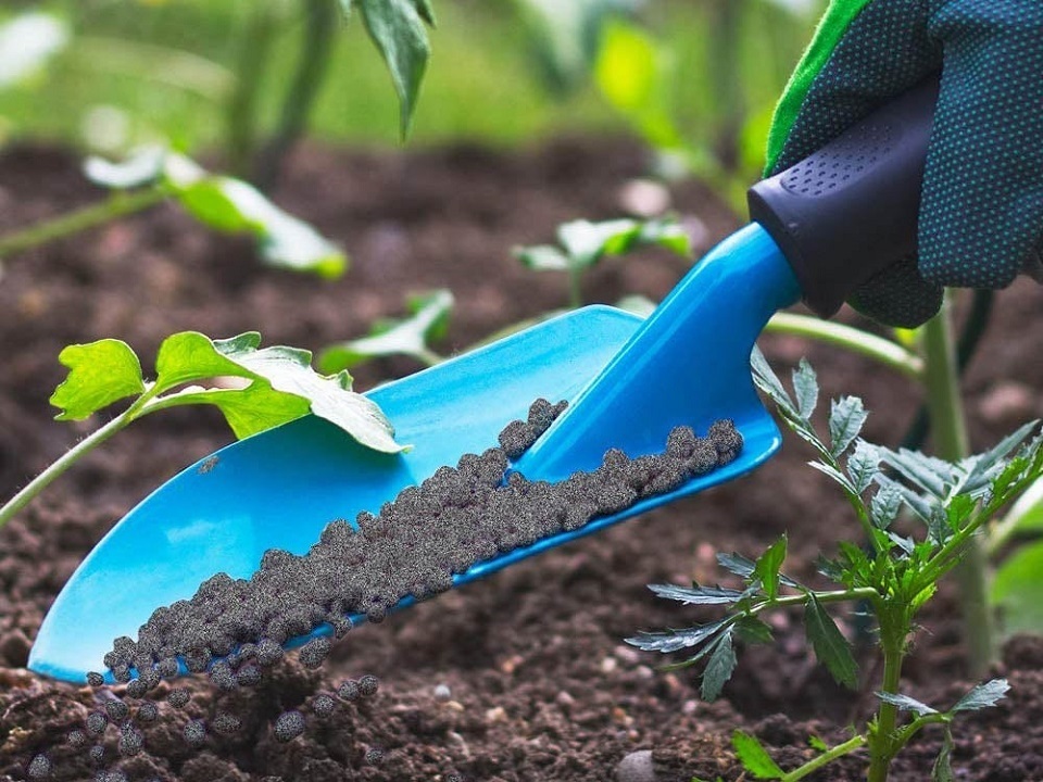 Most gardeners use a combination of organic and mineral-based fertilizers to help their plants grow