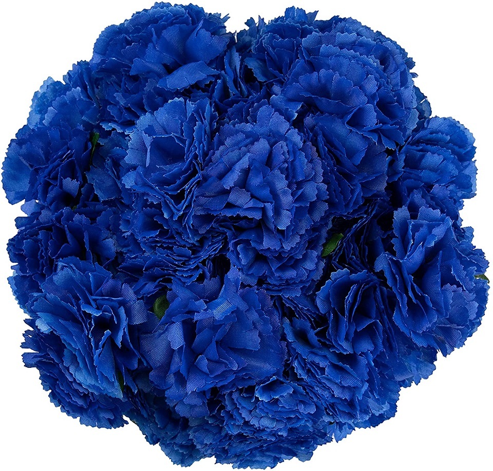 Navy Blue Carnations: The Perfect Memorial Flower