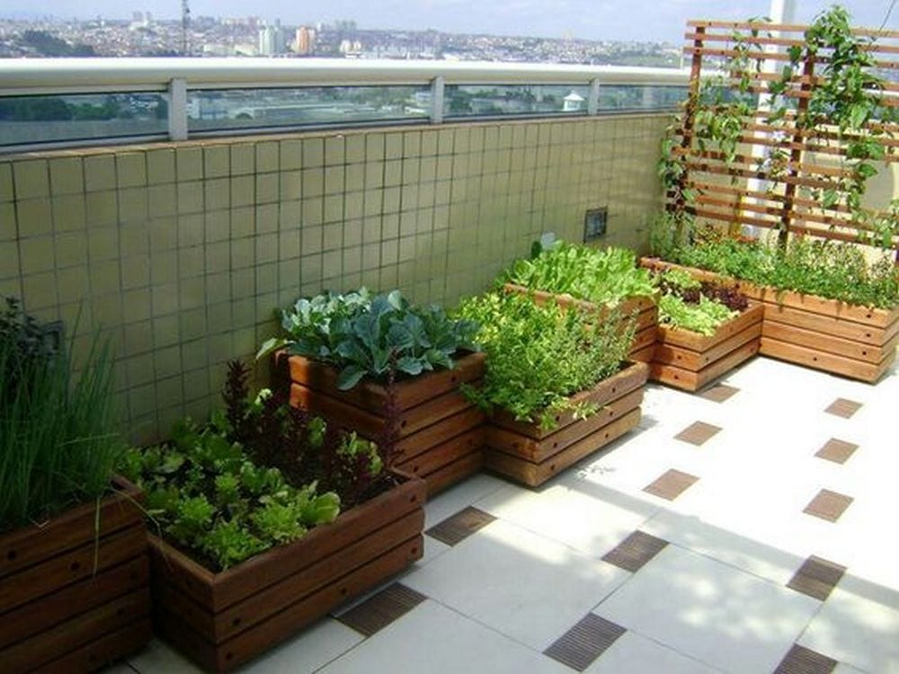 Patio vegetable garden