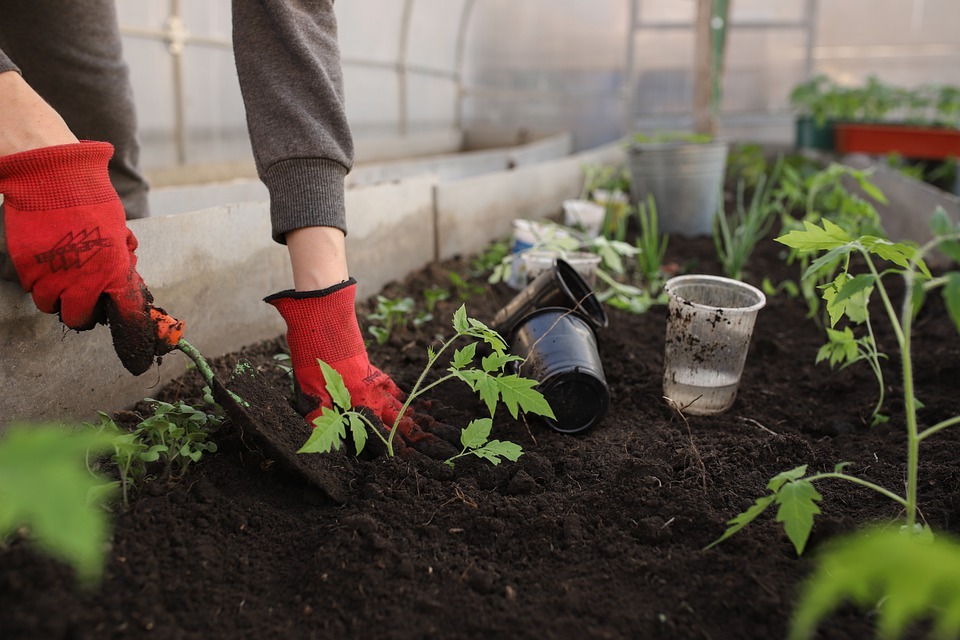 Preparing soil for garden, Soil is the foundation of any good plant