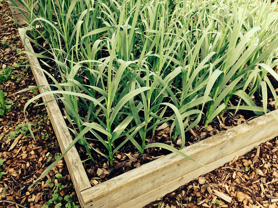 The box you choose to build your garden box