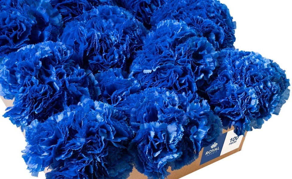 The meaning of Navy Blue Carnations