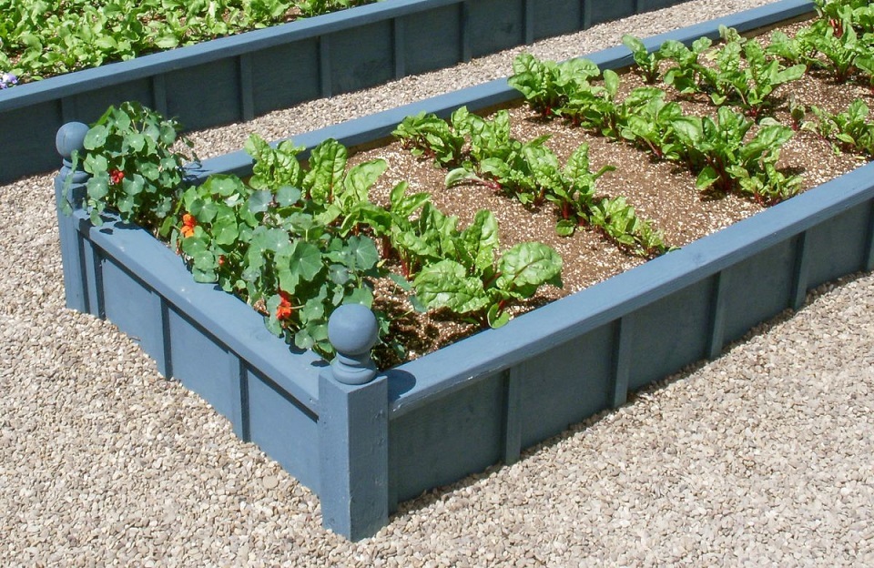 The types of garden beds