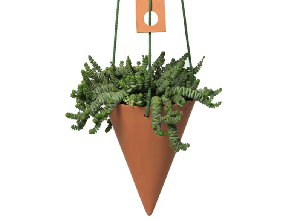 The use cone of Terra cotta planter