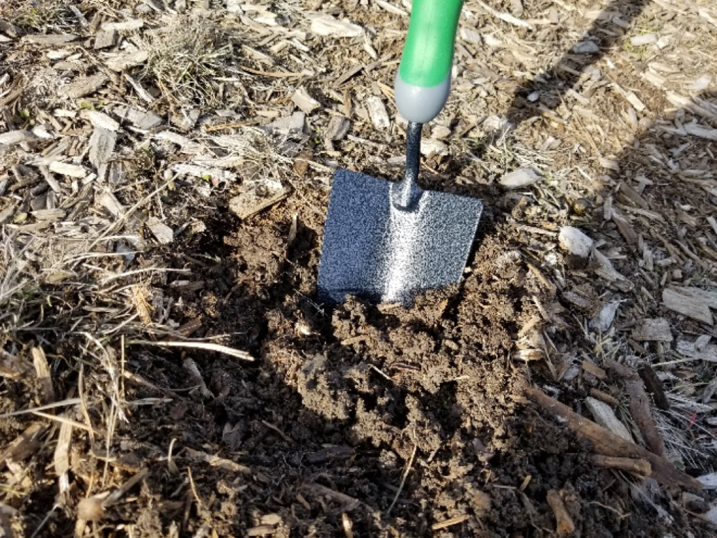 You can use a shovel to dig a hole deep enough to put your bulbs in