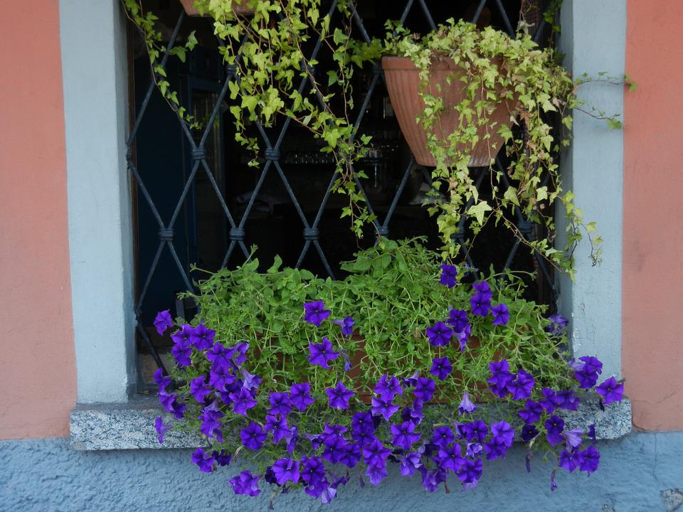 You should think about what plants you want to put in your shelf