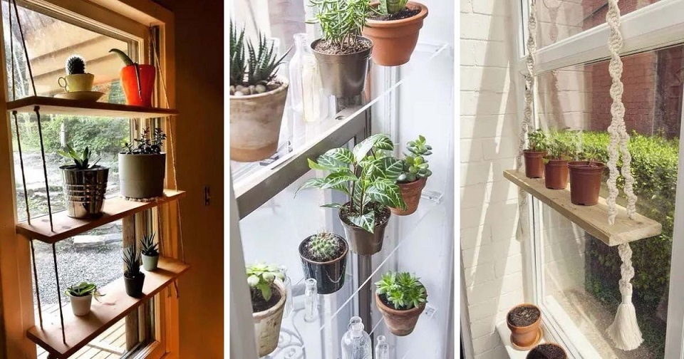 window sill plant. There are a lot of different types of shelves that you can use to decorate your home and office