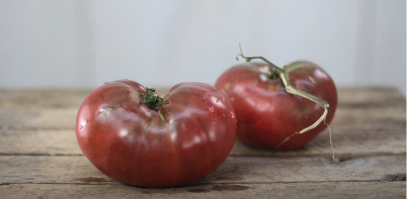 What is the Difference Between Black Krim and Cherokee Purple tomatoes?