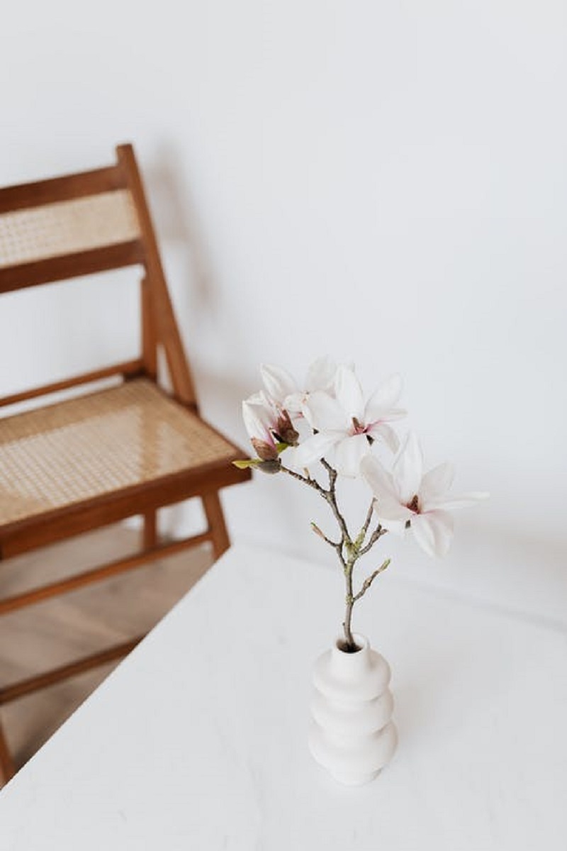 Little-Gem-Magnolias-in-Pots