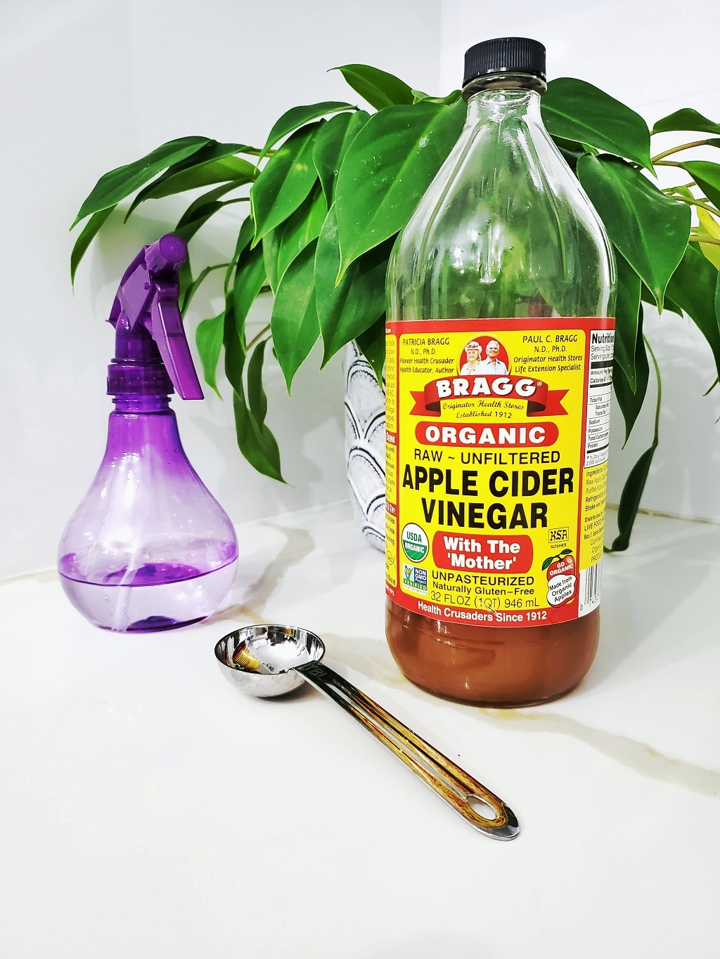 How to Use Vinegar to Kill Mealy Bugs Fast (Natural Insecticide)