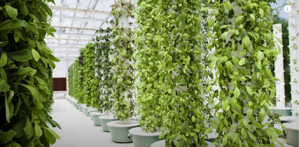 How To Build a Hydroponic tower Garden With Lights